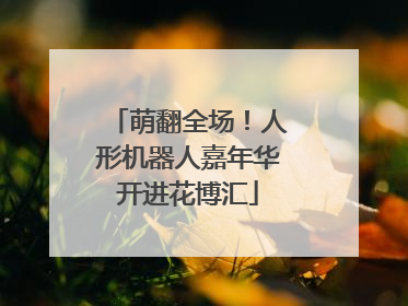 萌翻全场！人形机器人嘉年华开进花博汇